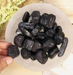 Natural Black Tourmaline Crystal (Schorl/Protector Stone/EMF Shield)