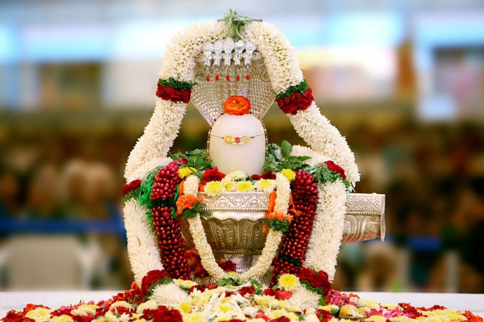 Rudrabhishek Puja
